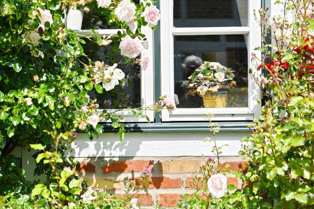 Landhaus Vilmnitz - Wohnung 10 Exterior foto