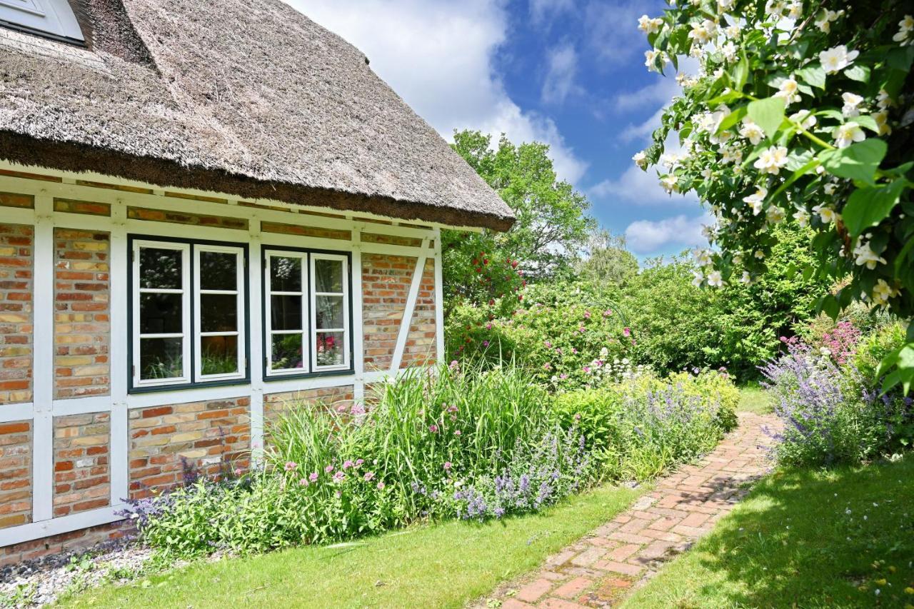 Landhaus Vilmnitz - Wohnung 10 Exterior foto